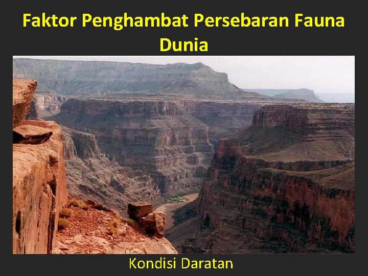 Faktor Penghambat Persebaran Fauna Dunia Kondisi Daratan 