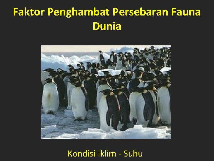 Faktor Penghambat Persebaran Fauna Dunia Kondisi Iklim - Suhu 