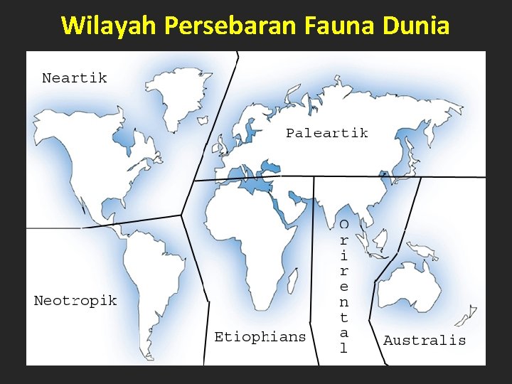 Wilayah Persebaran Fauna Dunia 