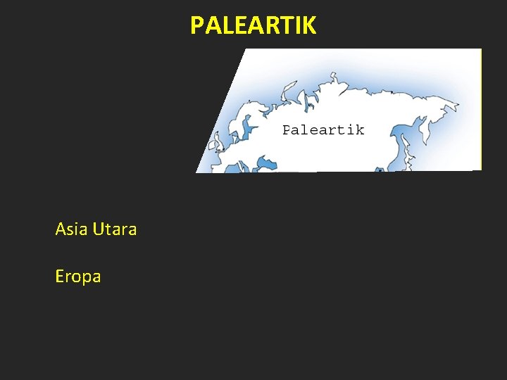 PALEARTIK Asia Utara Eropa 