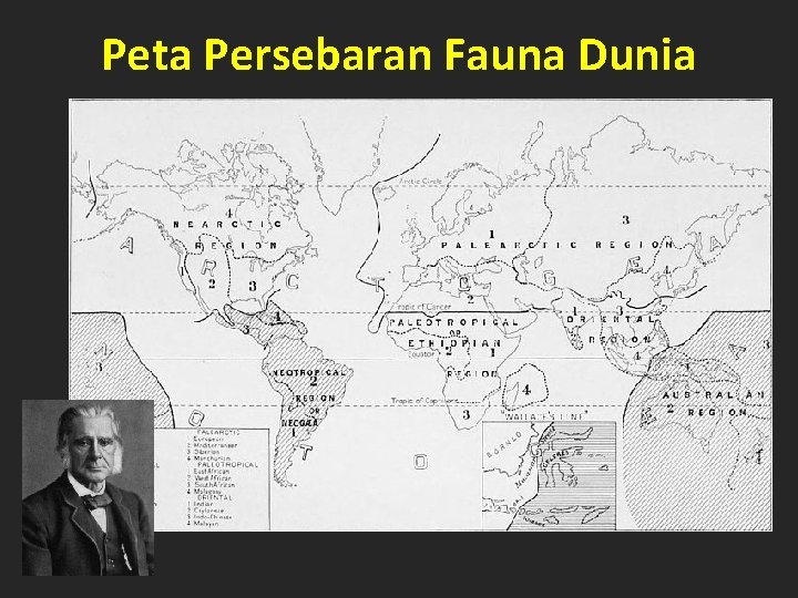 Peta Persebaran Fauna Dunia 