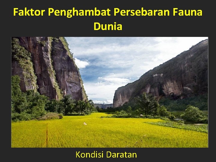 Faktor Penghambat Persebaran Fauna Dunia Kondisi Daratan 