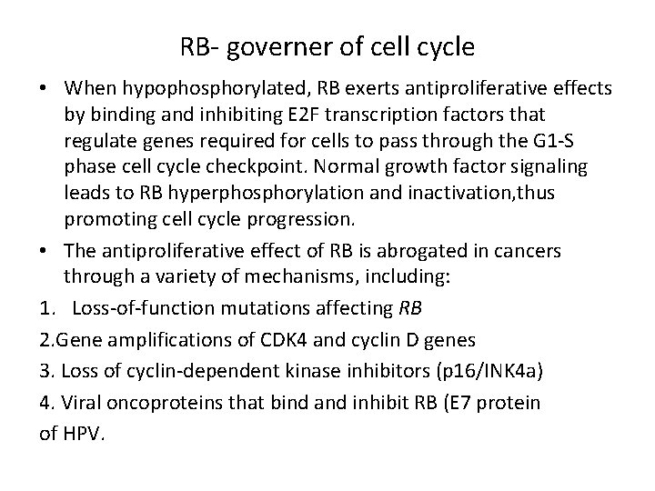 RB- governer of cell cycle • When hypophosphorylated, RB exerts antiproliferative effects by binding