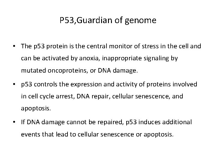 P 53, Guardian of genome • The p 53 protein is the central monitor