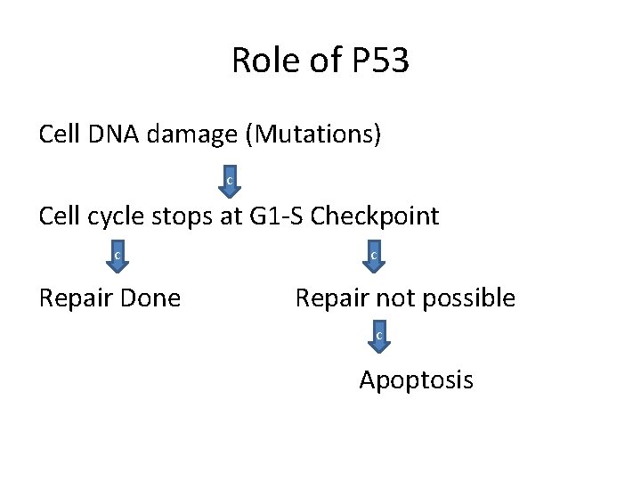Role of P 53 Cell DNA damage (Mutations) c Cell cycle stops at G