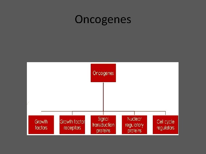 Oncogenes 