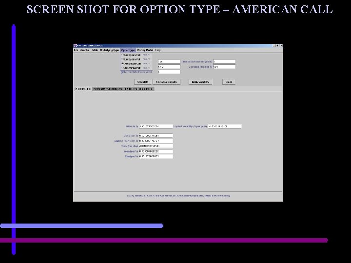 SCREEN SHOT FOR OPTION TYPE – AMERICAN CALL 