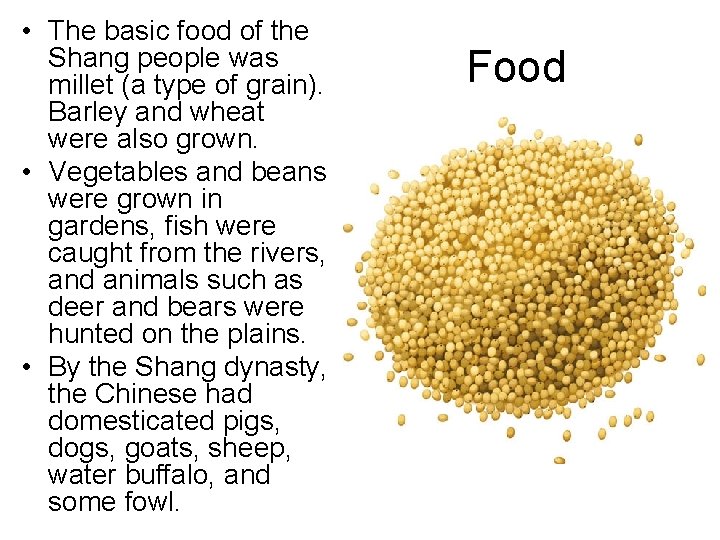  • The basic food of the Shang people was millet (a type of