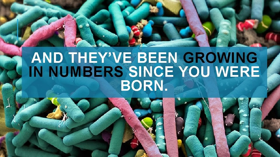 AND THEY’VE BEEN GROWING IN NUMBERS SINCE YOU WERE BORN. 