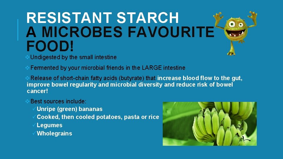 RESISTANT STARCH A MICROBES FAVOURITE FOOD! v. Undigested by the small intestine v. Fermented