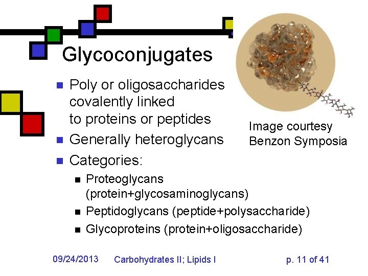 Glycoconjugates n n n Poly or oligosaccharides covalently linked to proteins or peptides Generally