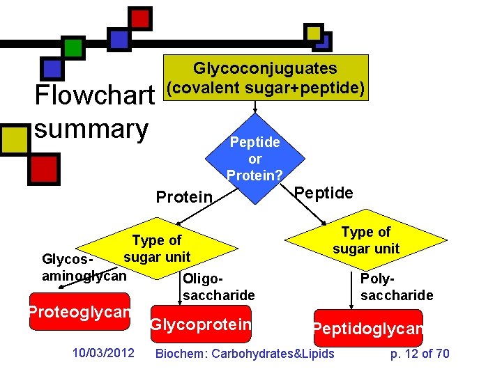 Flowchart summary Glycoconjuguates (covalent sugar+peptide) Peptide or Protein? Protein Type of sugar unit Glycosaminoglycan