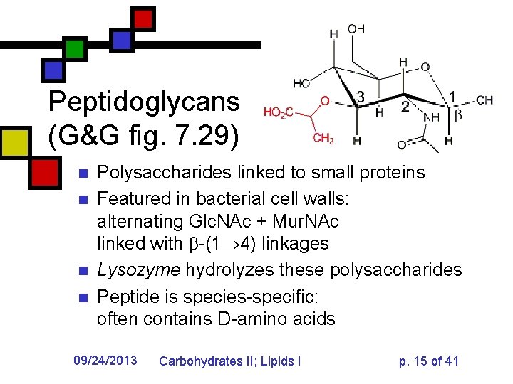 Peptidoglycans (G&G fig. 7. 29) n n Polysaccharides linked to small proteins Featured in