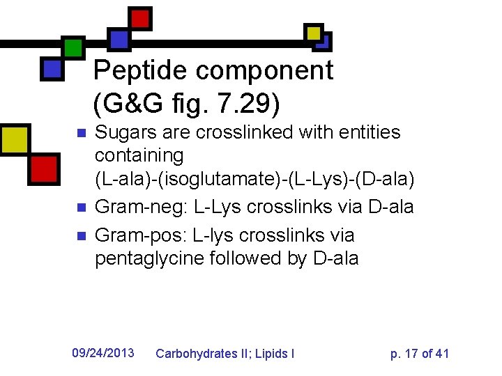 Peptide component (G&G fig. 7. 29) n n n Sugars are crosslinked with entities