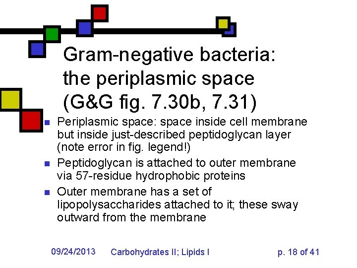 Gram-negative bacteria: the periplasmic space (G&G fig. 7. 30 b, 7. 31) n n