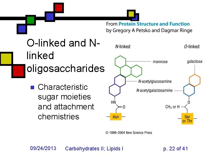 O-linked and Nlinked oligosaccharides n Characteristic sugar moieties and attachment chemistries 09/24/2013 Carbohydrates II;