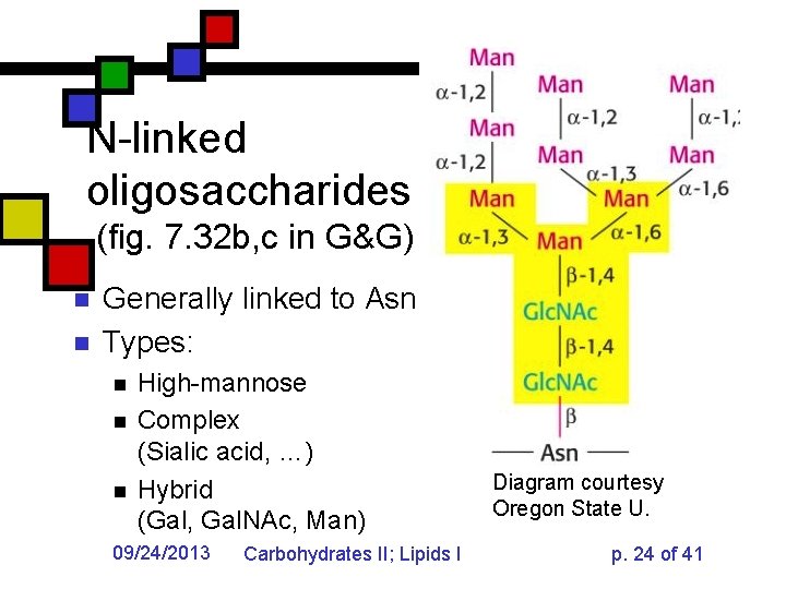 N-linked oligosaccharides (fig. 7. 32 b, c in G&G) n n Generally linked to