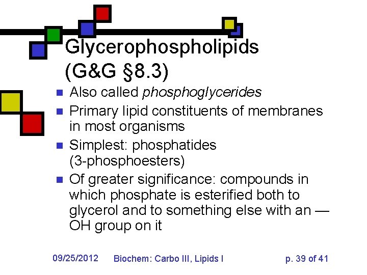 Glycerophospholipids (G&G § 8. 3) n n Also called phosphoglycerides Primary lipid constituents of