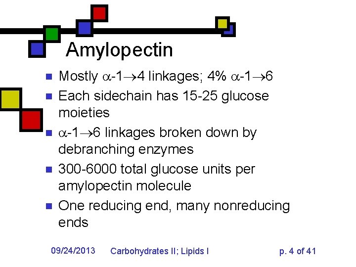 Amylopectin n n Mostly -1 4 linkages; 4% -1 6 Each sidechain has 15