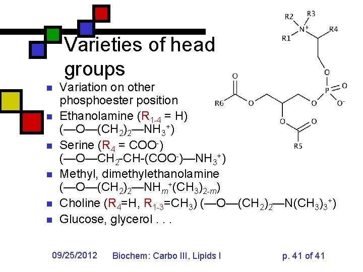 Varieties of head groups n n n Variation on other phosphoester position Ethanolamine (R