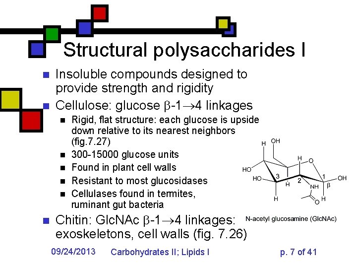 Structural polysaccharides I n n Insoluble compounds designed to provide strength and rigidity Cellulose:
