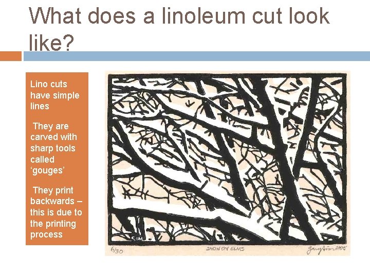 What does a linoleum cut look like? Lino cuts have simple lines • They
