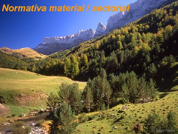 Normativa material / sectorial 