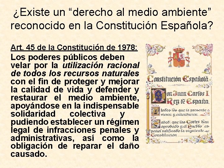 ¿Existe un “derecho al medio ambiente” reconocido en la Constitución Española? Art. 45 de