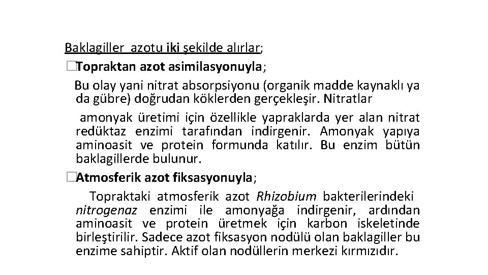 Baklagiller azotu iki şekilde alırlar; �Topraktan azot asimilasyonuyla; Bu olay yani nitrat absorpsiyonu (organik