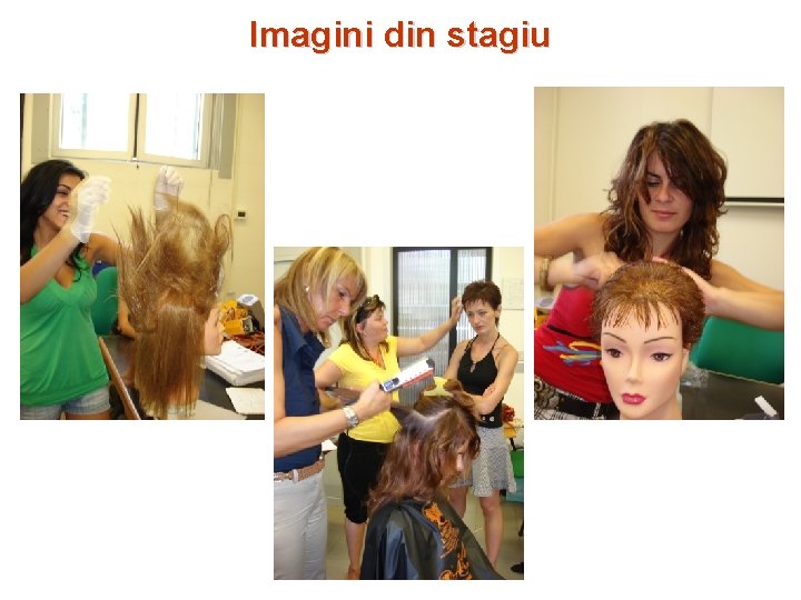 Imagini din stagiu 
