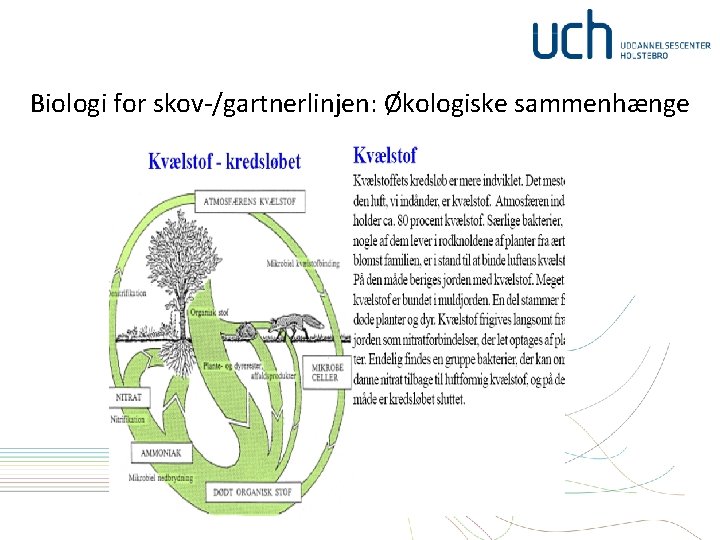Biologi for skov-/gartnerlinjen: Økologiske sammenhænge 