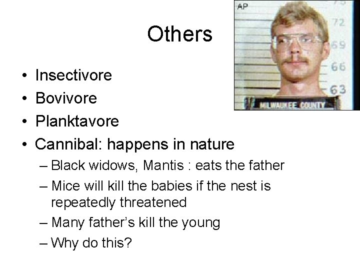 Others • • Insectivore Bovivore Planktavore Cannibal: happens in nature – Black widows, Mantis