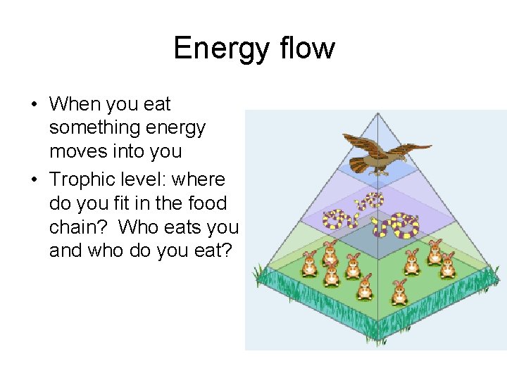 Energy flow • When you eat something energy moves into you • Trophic level: