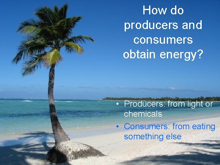 How do producers and consumers obtain energy? • Producers: from light or chemicals •