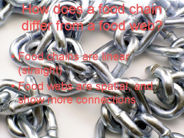 How does a food chain differ from a food web? • Food chains are