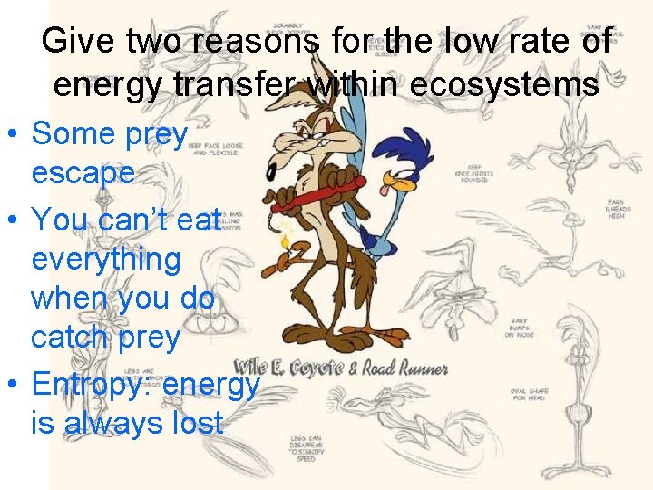 Give two reasons for the low rate of energy transfer within ecosystems • Some