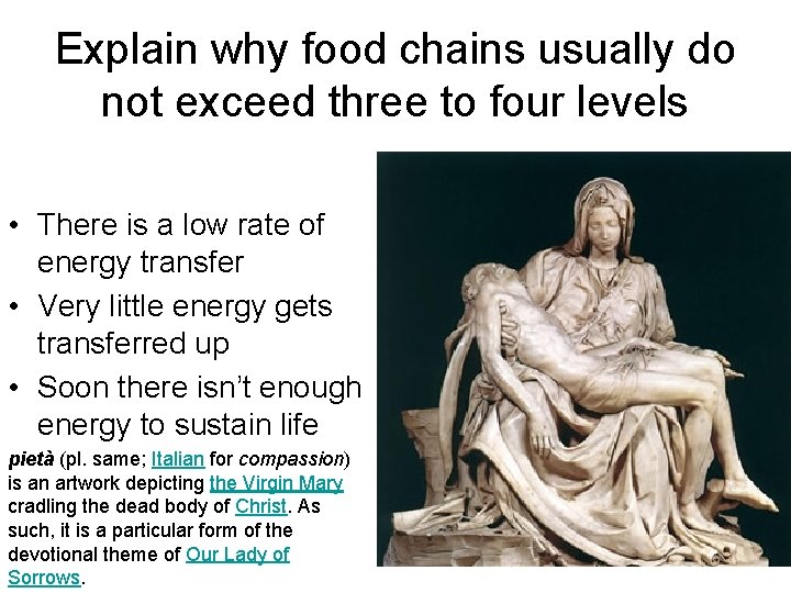 Explain why food chains usually do not exceed three to four levels • There