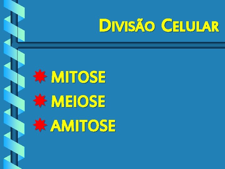 DIVISÃO CELULAR MITOSE MEIOSE AMITOSE 