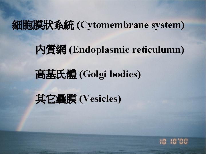 細胞膜狀系統 (Cytomembrane system) 內質網 (Endoplasmic reticulumn) 高基氏體 (Golgi bodies) 其它曩膜 (Vesicles) 