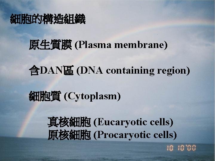 細胞的構造組織 原生質膜 (Plasma membrane) 含DAN區 (DNA containing region) 細胞質 (Cytoplasm) 真核細胞 (Eucaryotic cells) 原核細胞