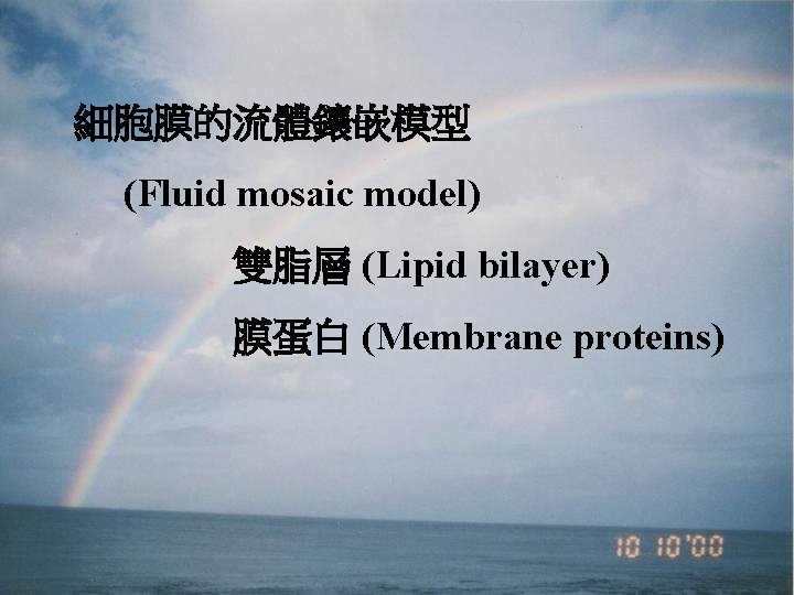 細胞膜的流體鑲嵌模型 (Fluid mosaic model) 雙脂層 (Lipid bilayer) 膜蛋白 (Membrane proteins) 