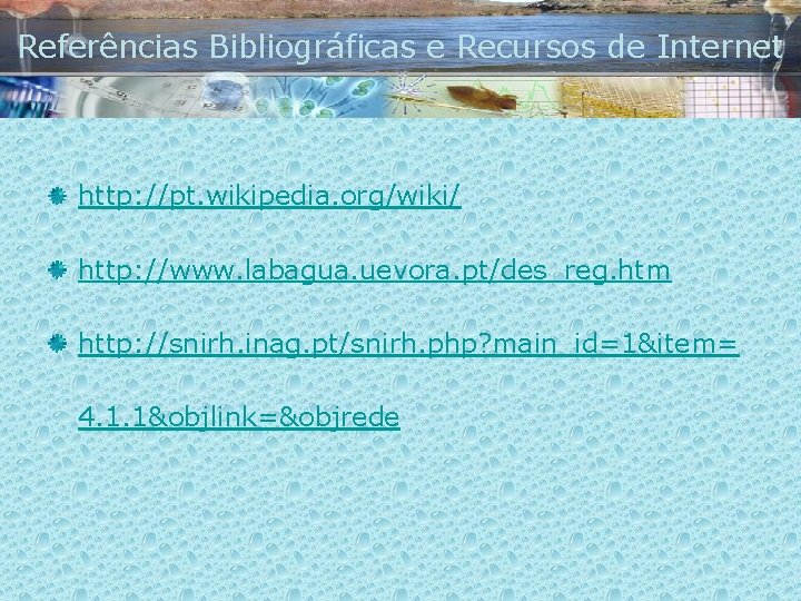 Referências Bibliográficas e Recursos de Internet http: //pt. wikipedia. org/wiki/ http: //www. labagua. uevora.