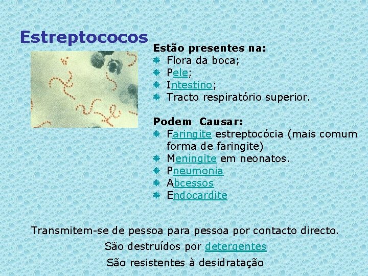 Estreptococos Estão presentes na: Flora da boca; Pele; Intestino; Tracto respiratório superior. Podem Causar: