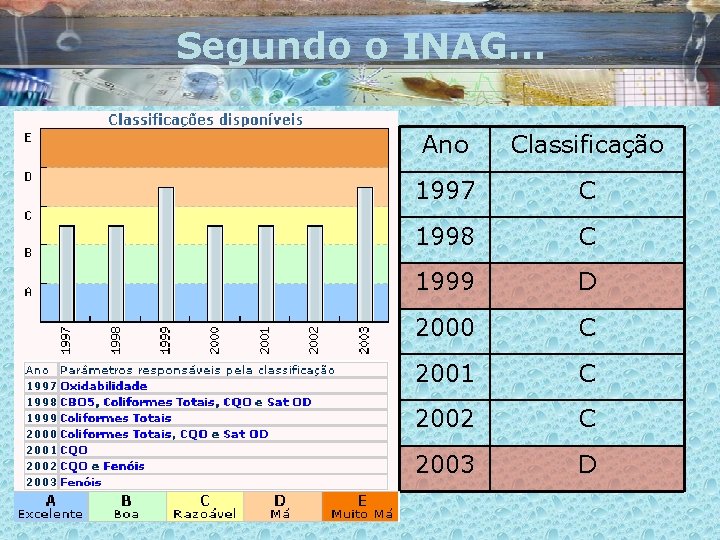 Segundo o INAG… Ano Classificação 1997 C 1998 C 1999 D 2000 C 2001