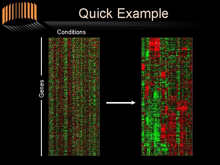 Quick Example Genes Conditions 