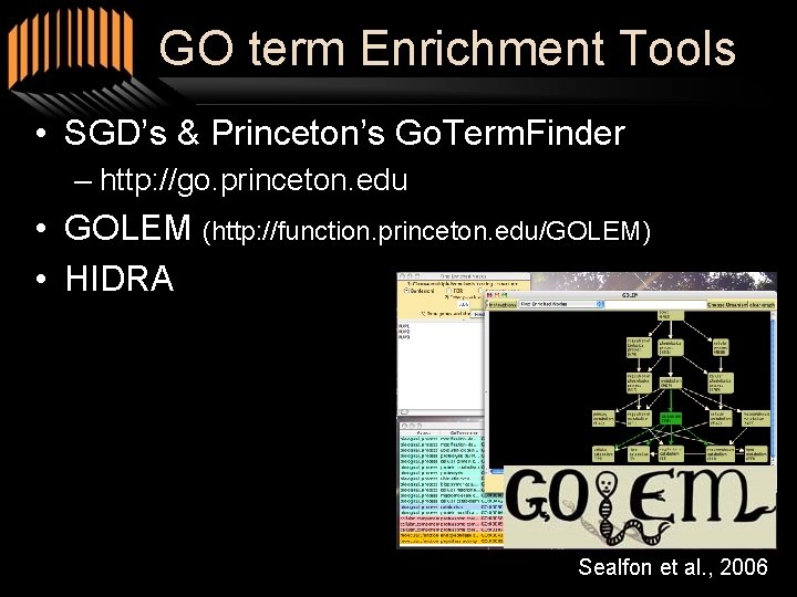 GO term Enrichment Tools • SGD’s & Princeton’s Go. Term. Finder – http: //go.