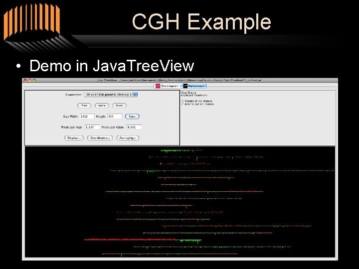 CGH Example • Demo in Java. Tree. View 