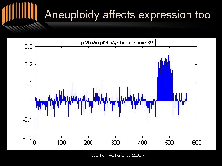 Aneuploidy affects expression too rpl 20 a. D/ rpl 20 a. D, Chromosome XV