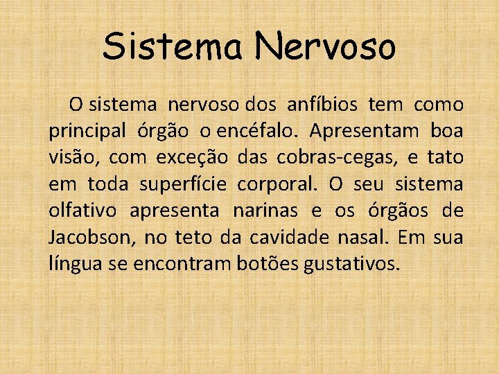 Sistema Nervoso O sistema nervoso dos anfíbios tem como principal órgão o encéfalo. Apresentam