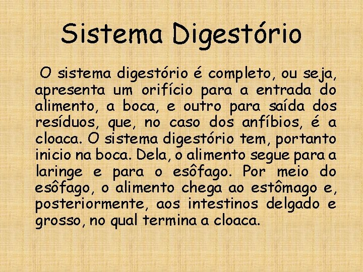 Sistema Digestório O sistema digestório é completo, ou seja, apresenta um orifício para a